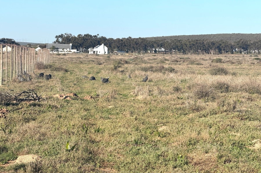 0 Bedroom Property for Sale in Long Acres Country Estate Western Cape